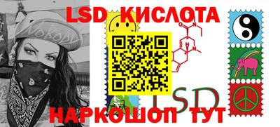 гашик Новозыбков